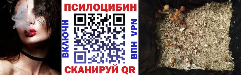 Псилоцибиновые грибы MAGIC MUSHROOMS площадка Telegram Пугачёв